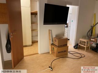 IMG 1205