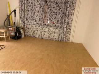IMG 1206